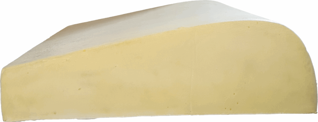 فوم سرد لهستانی